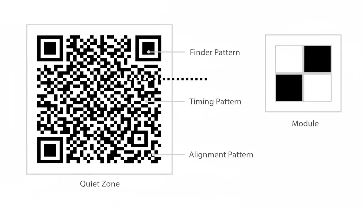 An annotated diagram of a QR code. Labels point to the three large finder patterns in the corners, a smaller alignment pattern, the timing patterns, a magnified view of individual modules, and the four-module-wide quiet zone surrounding the code.